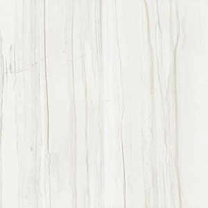 Gạch lát sàn Trường Thịnh TT66041